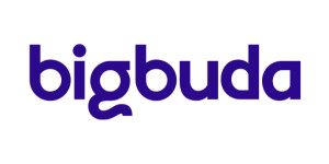 Agencia Bigbuda Logo