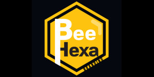 Bee Hexa Branding Logo