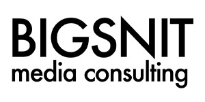 Bigsnit Media Consulting Inc. Logo