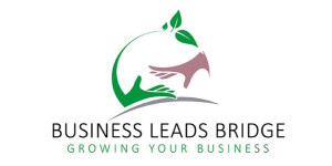 Business Leads Bridge Logo