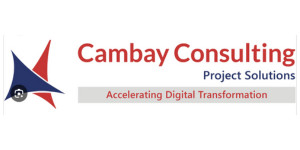 Cambay Consulting LLC Logo