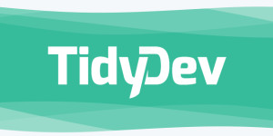 TidyDev Software Solutions Ltd Logo