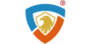 CyberSafeHaven Consulting Logo