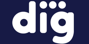 DIG Logo