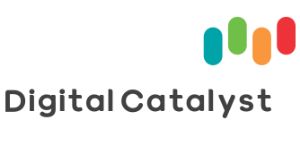 DigitalCatalyst Logo