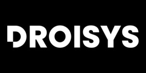 Droisys Logo