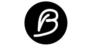 BogdanBiris Logo