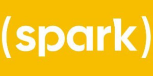 Leap Spark Agency Logo