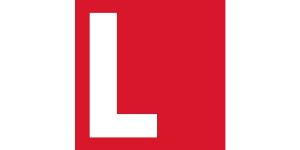 LEVICK Logo