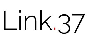 Link 37 Logo