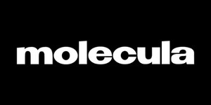 Molecula Logo