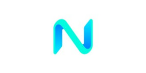 Netnest Digital Logo