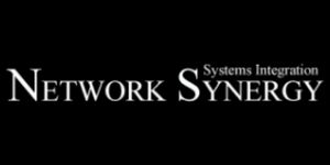 Network Synergy Logo