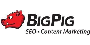 Big Pig SEO Logo