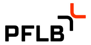 PFLB Logo