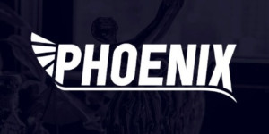 Phoenix Media Group Logo