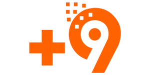 Plus Nine Logo