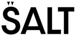 Salt Studio Logo