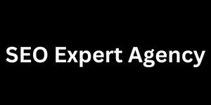 SEO Expert Agency Logo