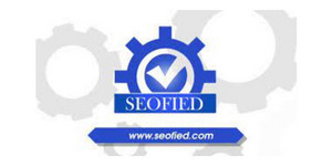 SEOFIED IT SERVICES Logo