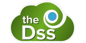 The Dss Logo