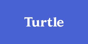 Turtle Logo