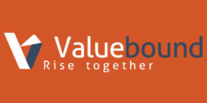 Valuebound Logo