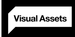 Visual Assets Logo