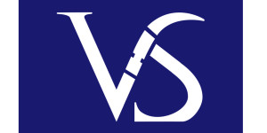 Visual Sculptors Logo