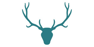 Web Antler Logo