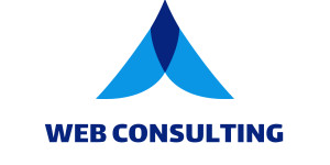 Web Consulting Agency Logo