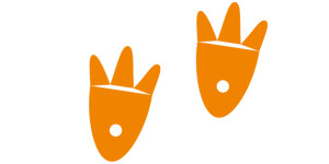 Webbed Feet Logo