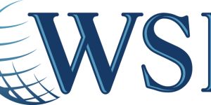 WSI-Optimized Web Solutions Logo