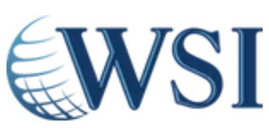 WSI Peak Digital Strategy Logo