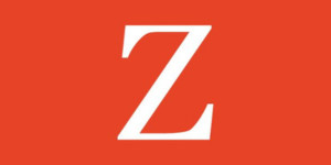 Zinzin Logo